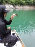 20130510063619