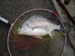 201309150700