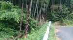 20140512132621